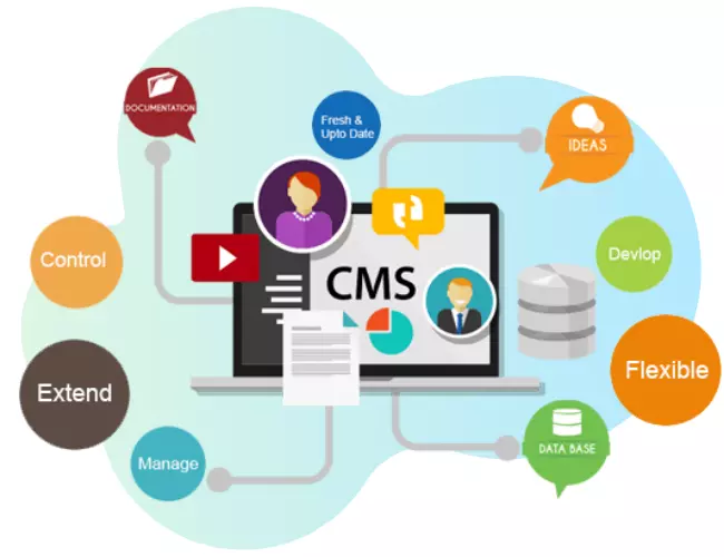 Best Wordpress Website Design
